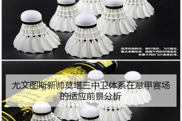 尤文图斯新帅莫塔三中卫体系在意甲赛场的适应前景分析